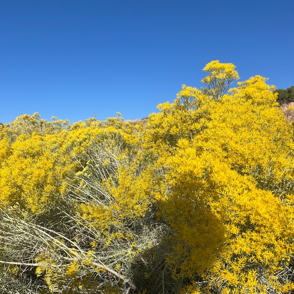 Meet your Posher, JM . - Picture 6 of 6